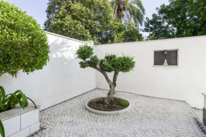 01763a0615635dd8ddc6e825dc345362 - 7