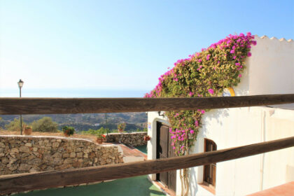 07c01444ecfcd828d9d13be28a0e687e - 16