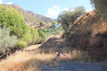 07c01444ecfcd828d9d13be28a0e687e - 42