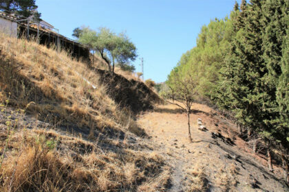 07c01444ecfcd828d9d13be28a0e687e - 44