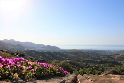 07c01444ecfcd828d9d13be28a0e687e - 47