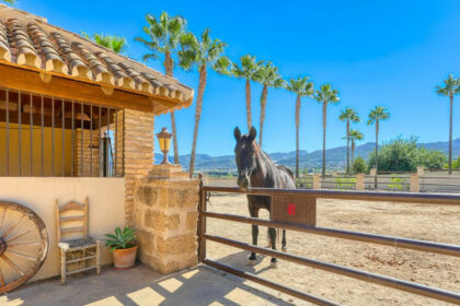 0ee498d7628ab622b9fb644208a146a0 - 43