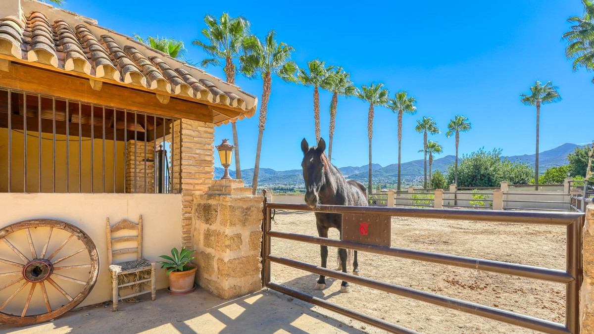 0ee498d7628ab622b9fb644208a146a0 - 43