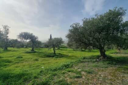 1076b028eccce1d488bda106e26fe143 - 1