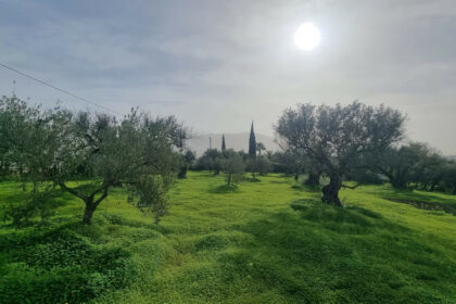 1076b028eccce1d488bda106e26fe143 - 2