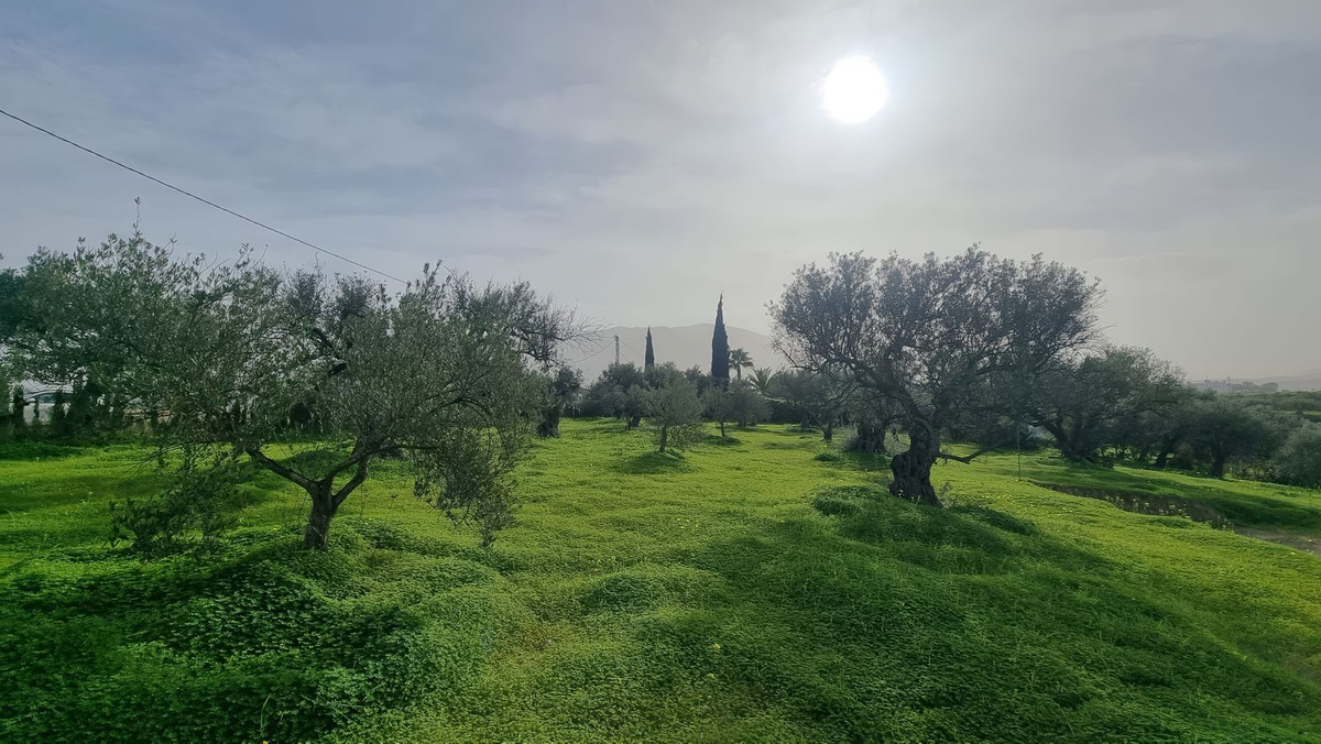 1076b028eccce1d488bda106e26fe143 - 2