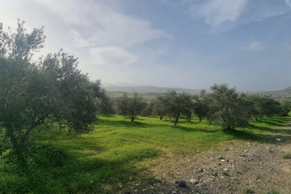 1076b028eccce1d488bda106e26fe143 - 3