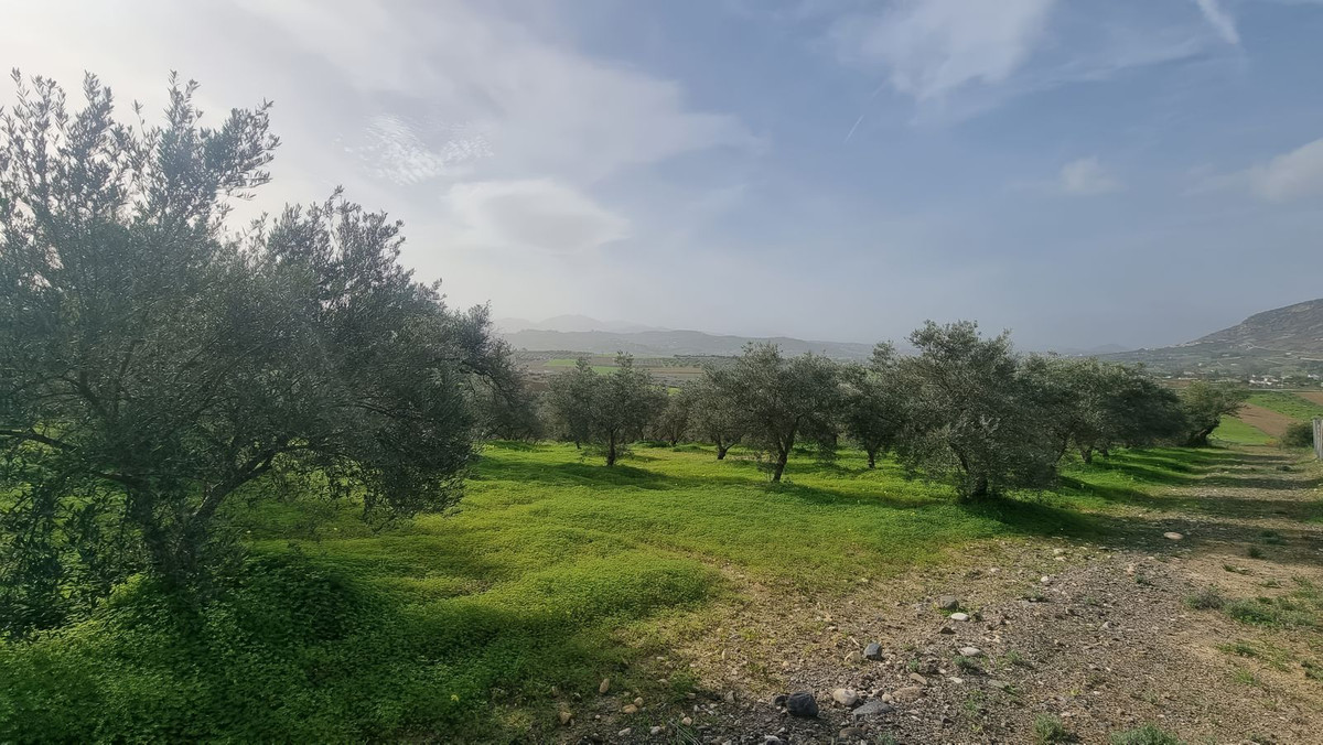 1076b028eccce1d488bda106e26fe143 - 3