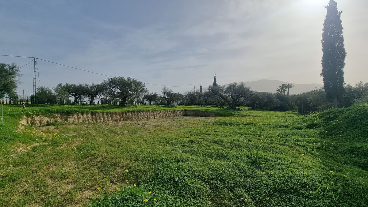 1076b028eccce1d488bda106e26fe143 - 4