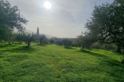 1076b028eccce1d488bda106e26fe143 - 5