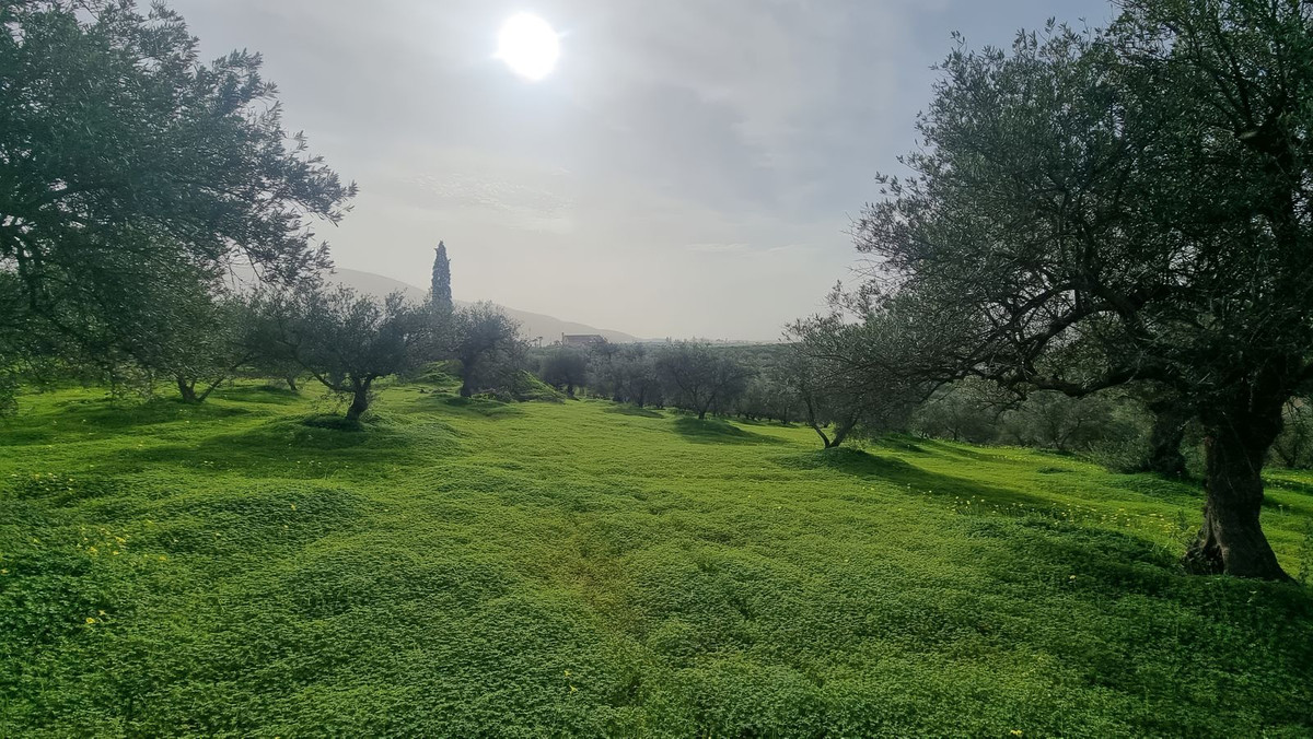 1076b028eccce1d488bda106e26fe143 - 5