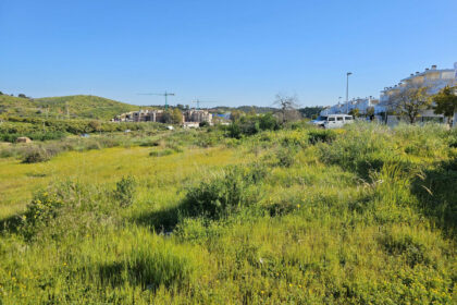 11d9bd0e660c03b9c4bfd30c4f0119a4 - 3