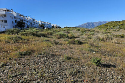 11d9bd0e660c03b9c4bfd30c4f0119a4 - 8