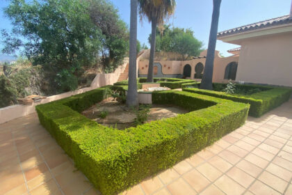 1373e019df227c457480c445aee38d9e - 17