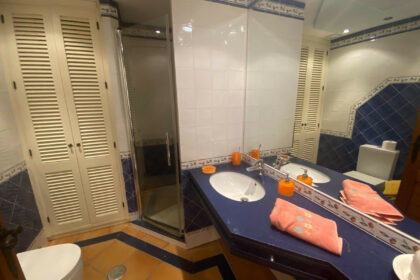 1373e019df227c457480c445aee38d9e - 46