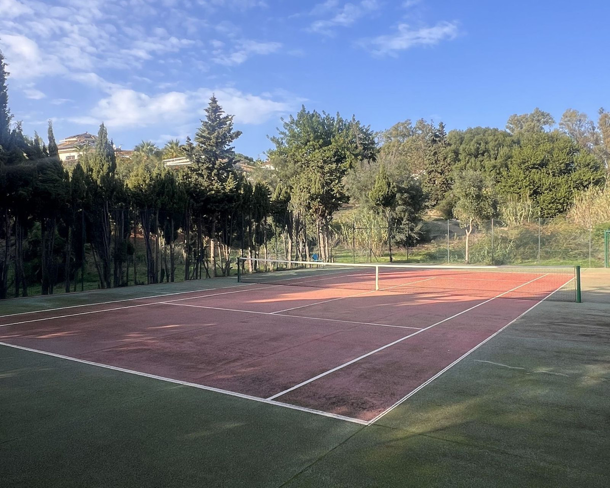 20725604ac6ff58b51a0bc677f4e7079 - 18