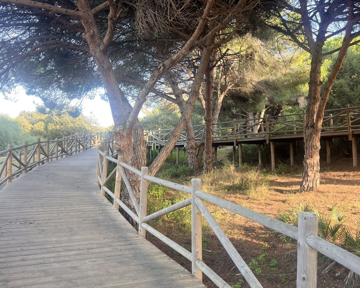 20725604ac6ff58b51a0bc677f4e7079 - 19