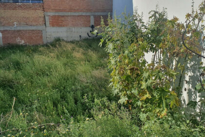 2fb6c4e337eafd016f319aa2fafc2eb1 - 2