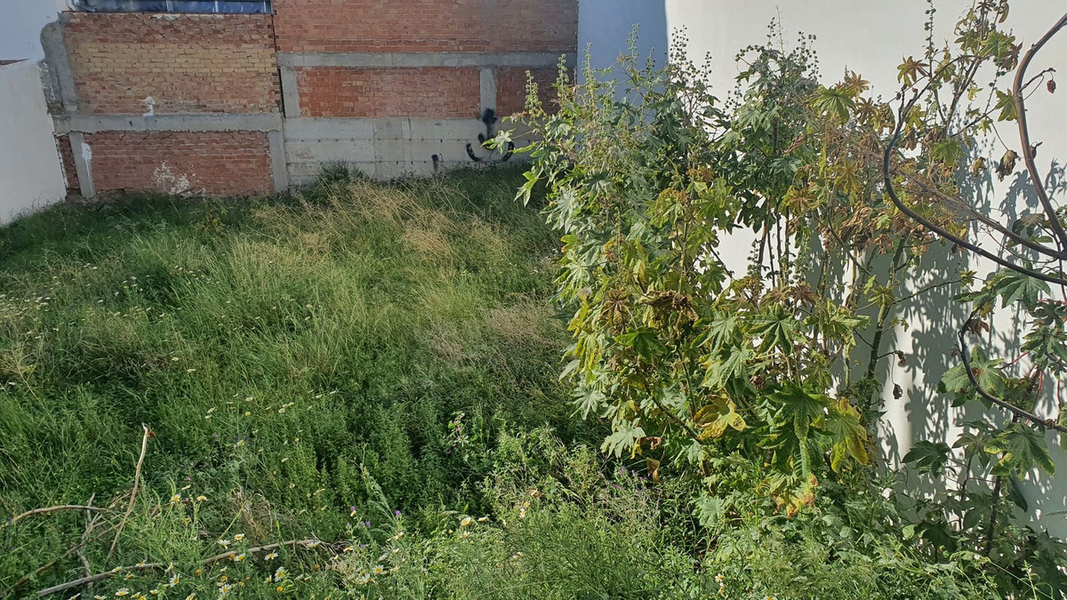 2fb6c4e337eafd016f319aa2fafc2eb1 - 2