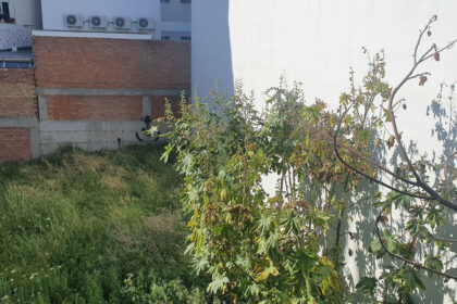 2fb6c4e337eafd016f319aa2fafc2eb1 - 3