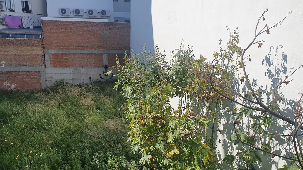 2fb6c4e337eafd016f319aa2fafc2eb1 - 3