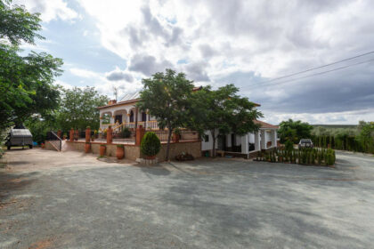 3c7ffc816661914eee8b604f0c86255c - 22