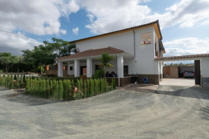 3c7ffc816661914eee8b604f0c86255c - 32