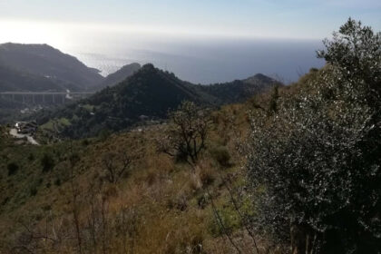 4249c0cc4e592a413f9e6e52baf15497 - 10