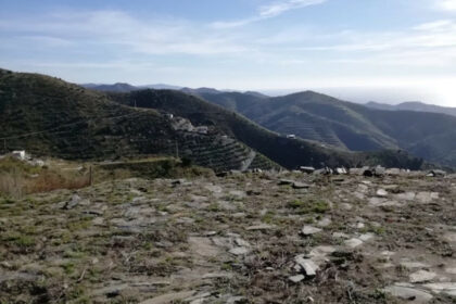 4249c0cc4e592a413f9e6e52baf15497 - 11