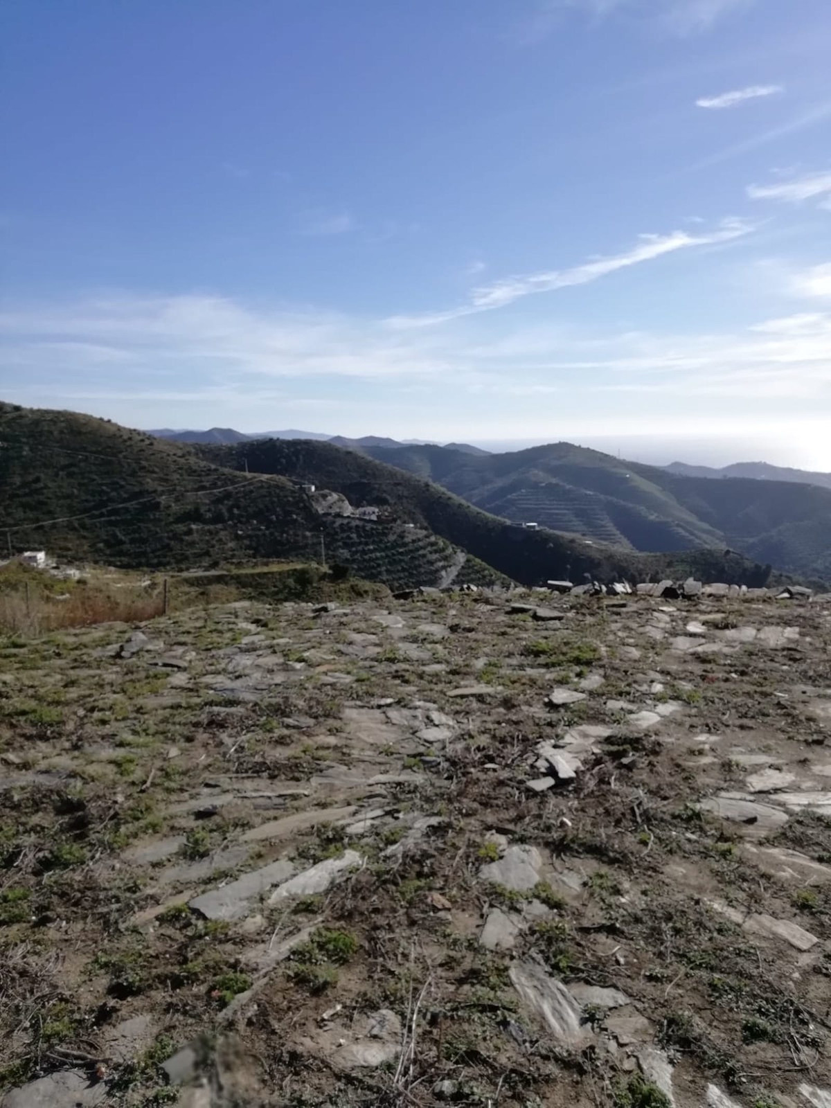 4249c0cc4e592a413f9e6e52baf15497 - 11