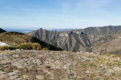 4249c0cc4e592a413f9e6e52baf15497 - 12