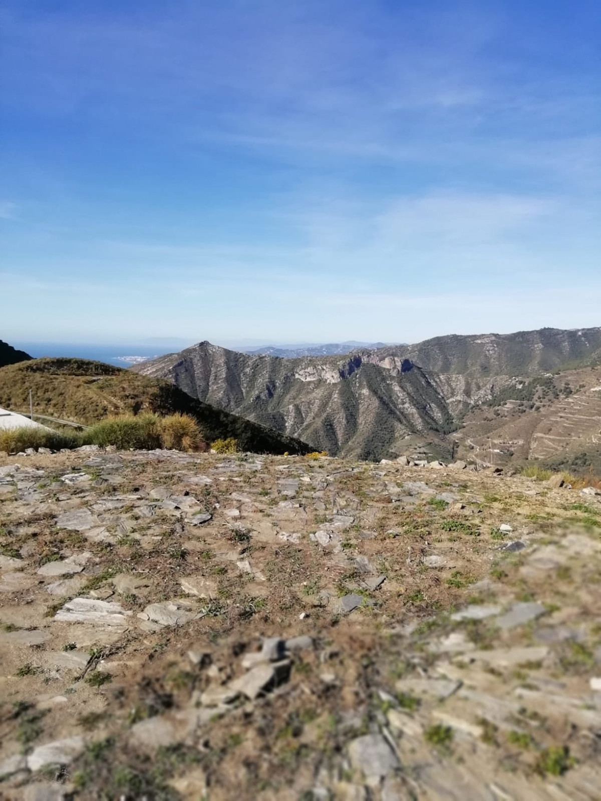 4249c0cc4e592a413f9e6e52baf15497 - 12