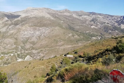 4249c0cc4e592a413f9e6e52baf15497 - 13