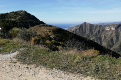 4249c0cc4e592a413f9e6e52baf15497 - 14