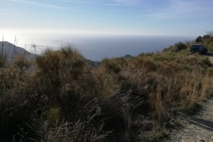 4249c0cc4e592a413f9e6e52baf15497 - 5