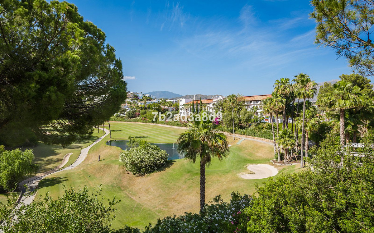 4d442704c4f9bbd520aa8a3d62dadf41 - 16