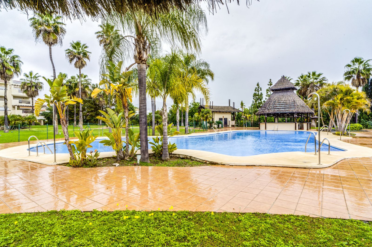 5a65271f83975ca9a1fc784678736c56 - 1