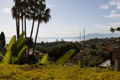 5ca68d38709bb5ae6b0541b457920a87 - 44