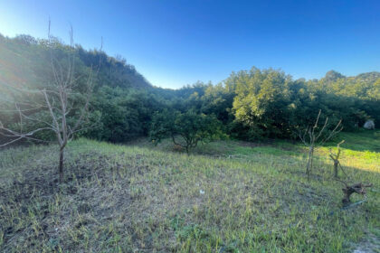 5d09261eac711c675d8f4d4647f74b46 - 12