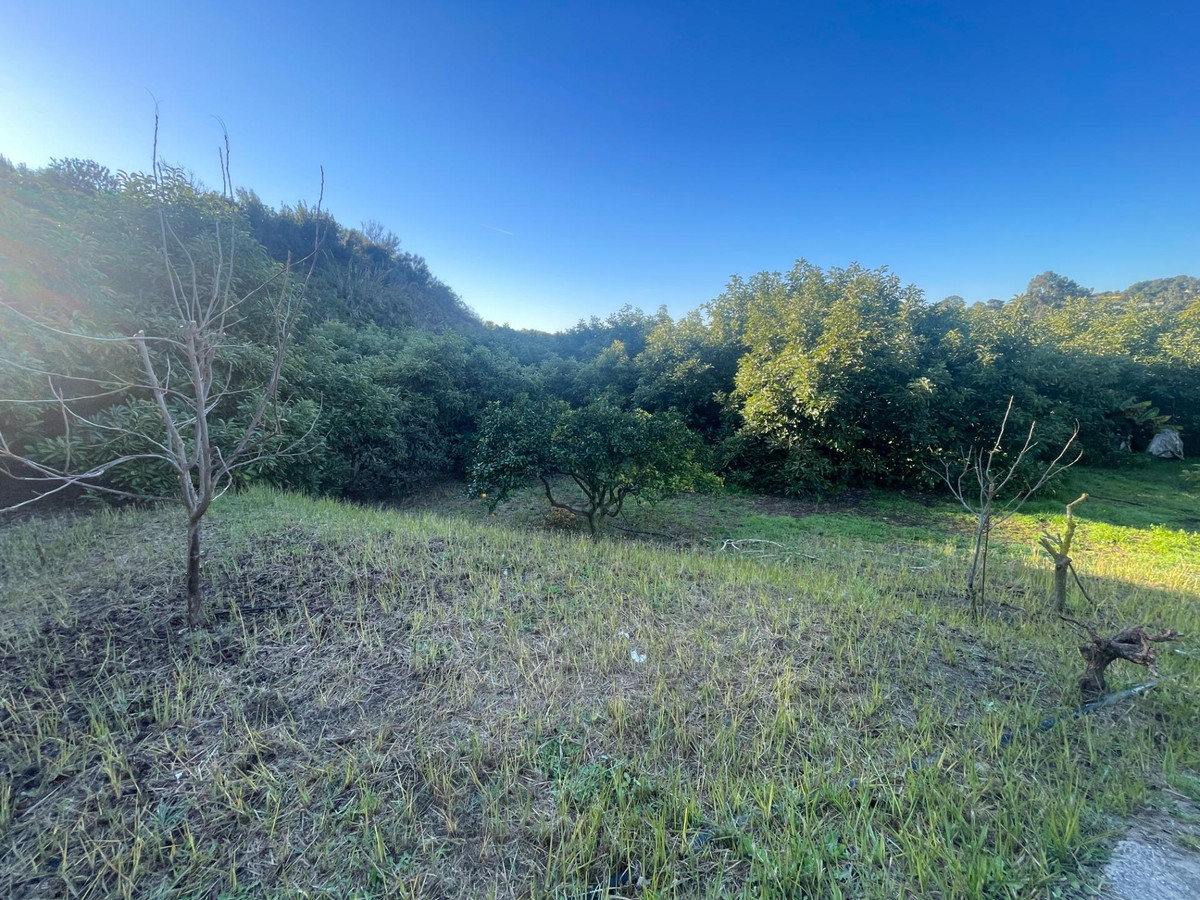 5d09261eac711c675d8f4d4647f74b46 - 12