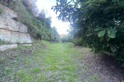 5d09261eac711c675d8f4d4647f74b46 - 13