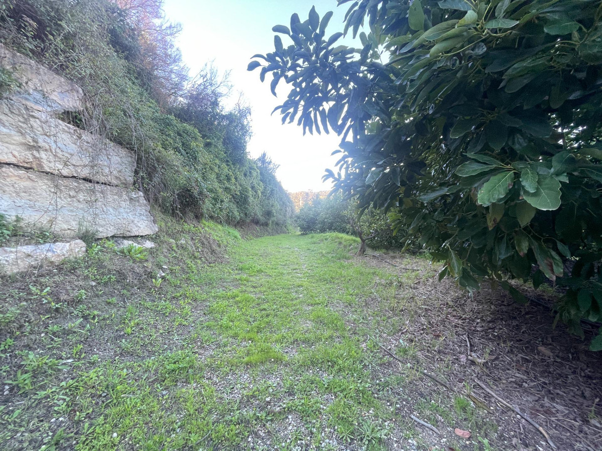 5d09261eac711c675d8f4d4647f74b46 - 13