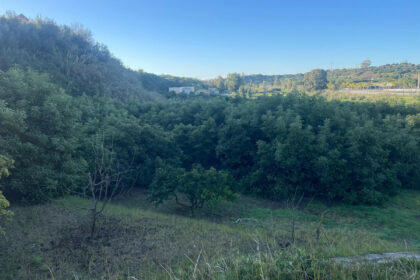 5d09261eac711c675d8f4d4647f74b46 - 15