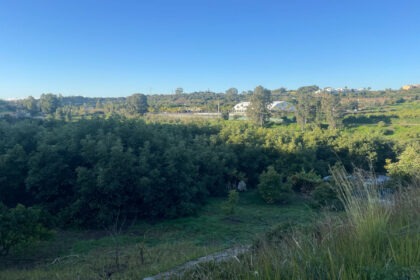 5d09261eac711c675d8f4d4647f74b46 - 16