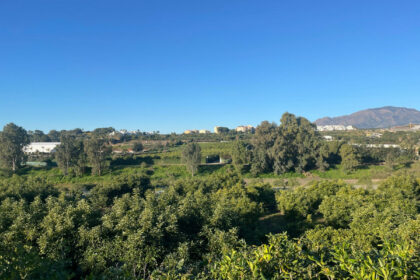 5d09261eac711c675d8f4d4647f74b46 - 18