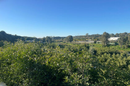 5d09261eac711c675d8f4d4647f74b46 - 19