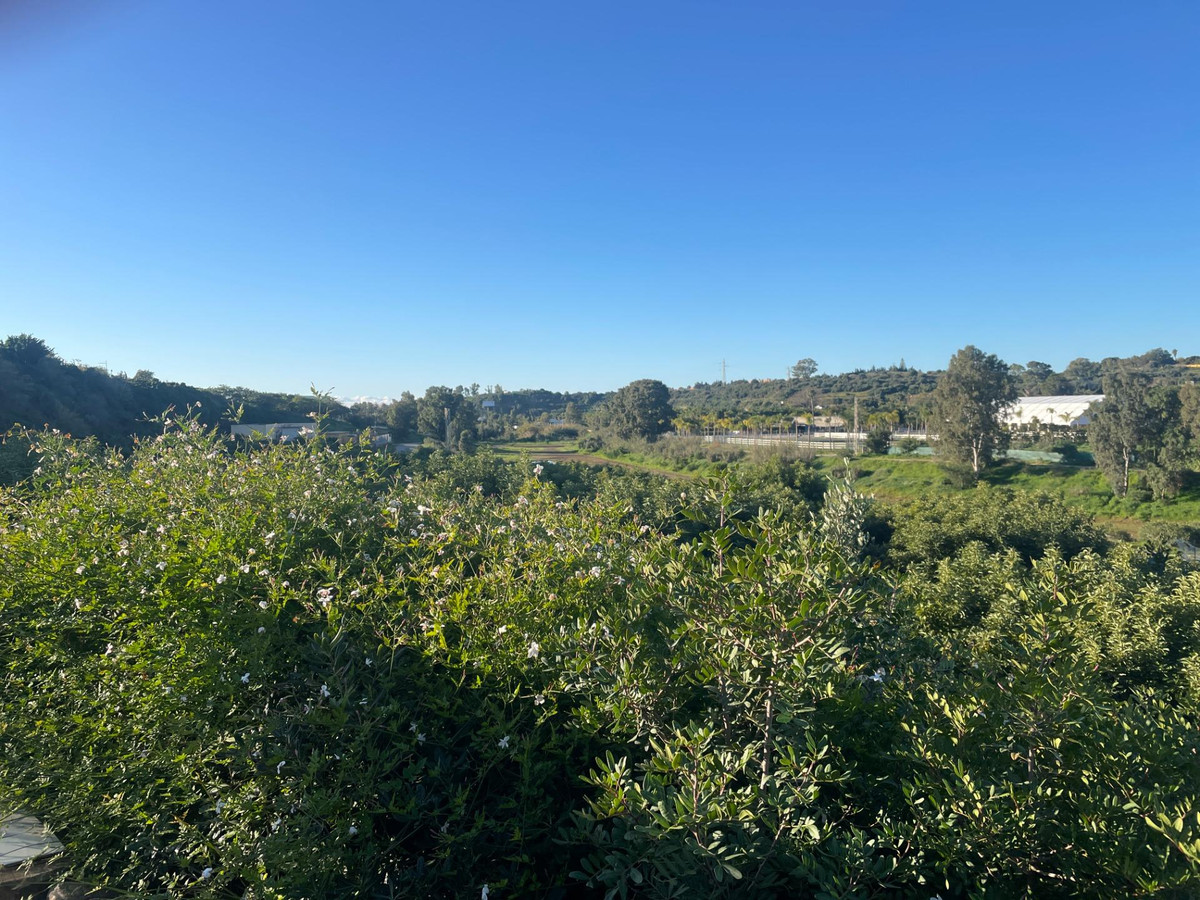 5d09261eac711c675d8f4d4647f74b46 - 19