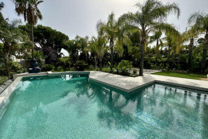 63d9a67e58719ce777b24a98595bead8 - 34