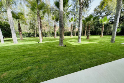 63d9a67e58719ce777b24a98595bead8 - 49