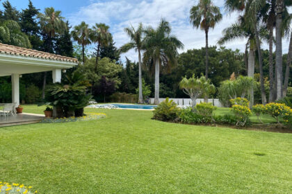 6469bbacc52eec6db90c60ea04fb333c - 3